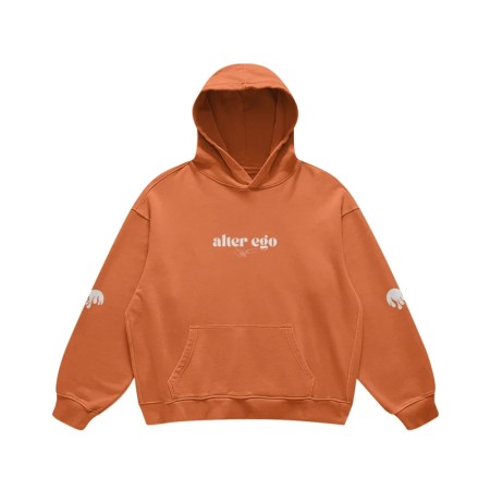 Hoodie Heavyweight ❤️‍🔥 Alter Ego ❤️‍🔥 destockage