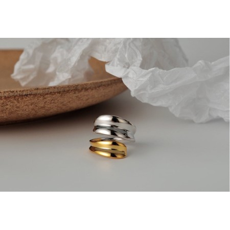 TWO-TONE RING brillant des détails fins