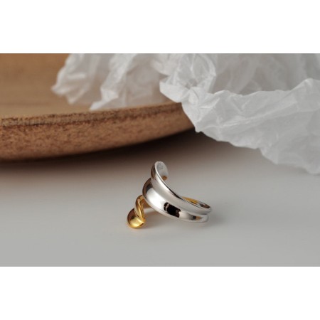 TWO-TONE RING brillant des détails fins