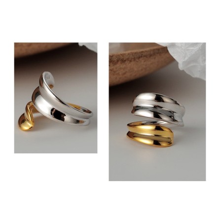 TWO-TONE RING brillant des détails fins