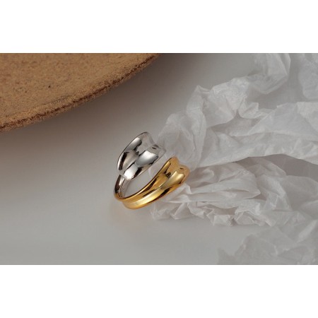 TWO-TONE RING brillant des détails fins