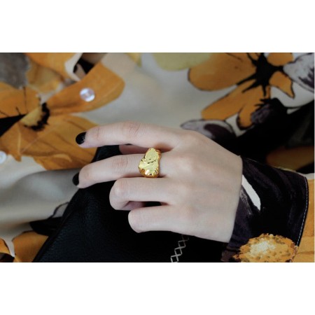 WHITE GOLD/ 18K GOLD CHIC RING JUSQU'A -70%! 