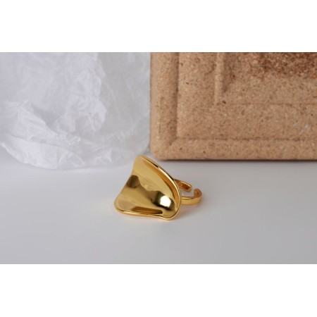 WHITE GOLD/ 18K GOLD MINIMALIST RING Les êtres humains sont 